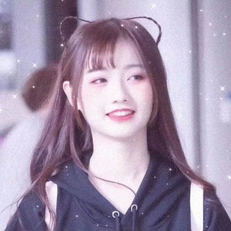 白痴5和哭喊的夫人